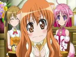 「リコッタ・エルマール」の画像検索結果