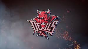 Image result for Cardiff Devils