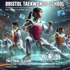 Image result for Bristol Taekwondo School