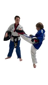 Image result for Action Karate