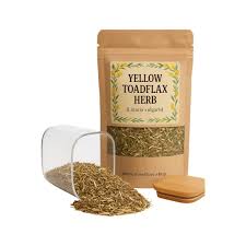 Attēlu rezultāti vaicājumam “Linaria vulgaris fruit”