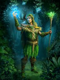 Image result for druid