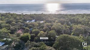 Image result for Makaira mazara