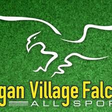 Image result for Normanton Falcons Netball Club