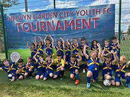 Image result for Welwyn Garden City Panshanger Football Club