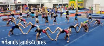 Image result for Ingleby Gymnastics Club