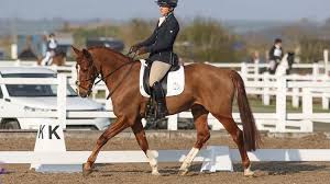 Image result for Chobham and District Riding Club