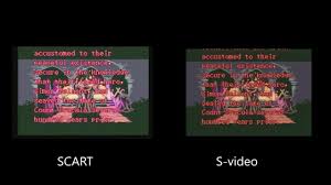Image result for s-video scart