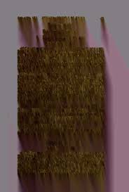 「カリーナ・モク DARKER THAN BLACK -黒の契約者-」の画像検索結果