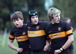 Image result for Esher Rugby Football Club