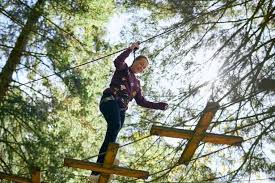 Image result for Go Ape! Alice Holt