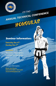 Image result for London Colney Tae Kwon Do  (I.T.F. / LTSI / A.F.T.)