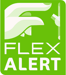 Image result for flex