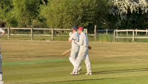 Image result for St Cross Symondians Cricket Club