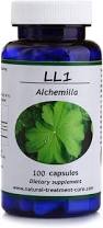 Image result for Alchemilla vulgaris