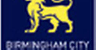 Image result for Birmingham University Lions