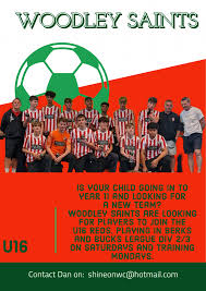 Image result for Woodley Saints Ladies FC