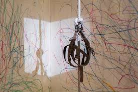 Image result for Schneemann