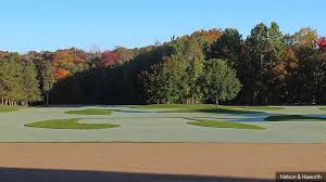 Image result for Green Haworth Golf Club