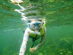 Image result for Wyndley NSC Snorkelling Club