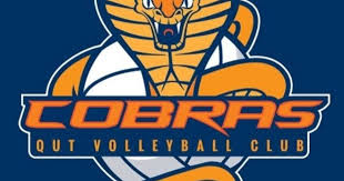 Image result for Cheltenham Cobras Volleyball Club