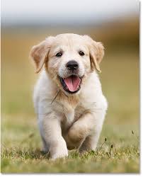 Image result for image