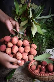 Attēlu rezultāti vaicājumam “Linaria loeselii fruit”