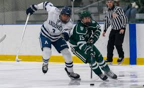 Image result for New Milton Hockey Club