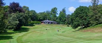 Image result for Dorking Lawn Tennis Club