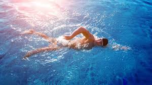 Image result for Swimming