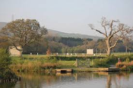 Image result for Ivybridge Cricket Club