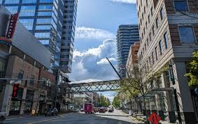 Image result for Bellevue