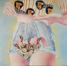 Image result for schamhaar