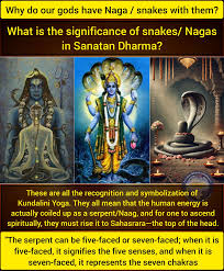 Kuvahaun tulos haulle nagas