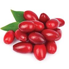 Attēlu rezultāti vaicājumam “Cornus mas fruit”