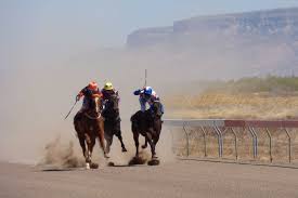 Image result for Thoroughbreds Netball Clubs