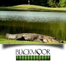 Image result for Blackmoor Golf Club