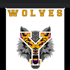 Image result for York University Dodgeball Club