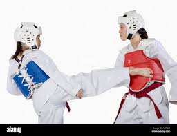 Image result for Dujon Tae Kwon Do