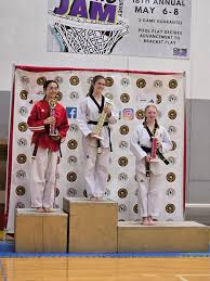 Image result for York University Taekwondo Club