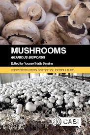 Attēlu rezultāti vaicājumam “Agaricus”