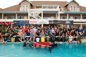 Image result for innerspace divers