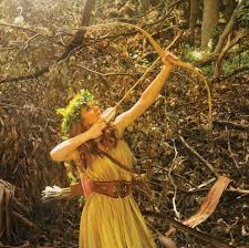 Image result for Silver Arrow Archery