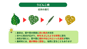 Image result for 生理現象ラキ