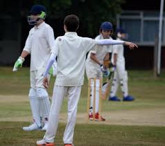 Image result for Capel Cricket Club