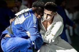 Image result for Judo Excellence