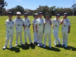 Image result for Glaisdale Cricket Club