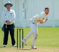 Image result for Bere Regis Cricket Club