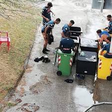 Image result for napoli garbage