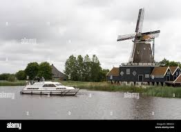 Image result for geeuw